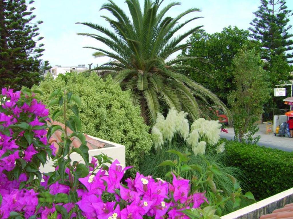 Julies Apartments Kokkini Hani Екстериор снимка